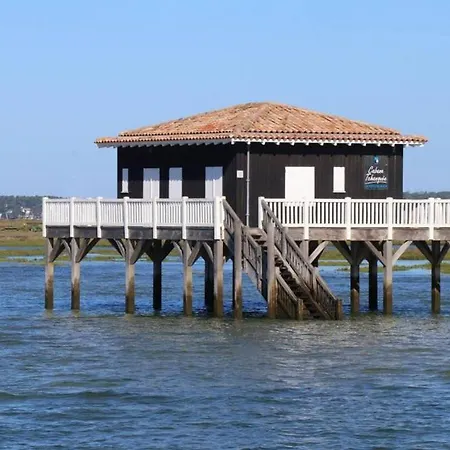 Duplex Le Colibri Esprit