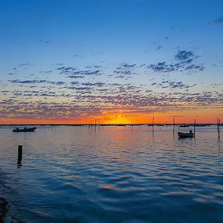 Duplex Le Colibri Esprit *