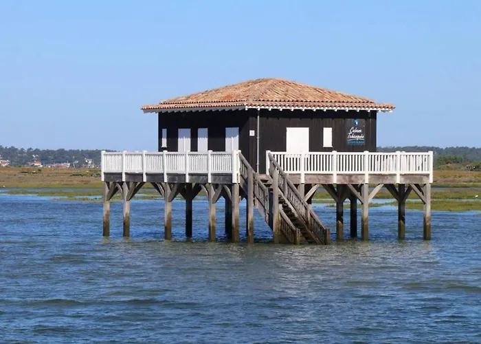 Duplex Le Colibri Esprit