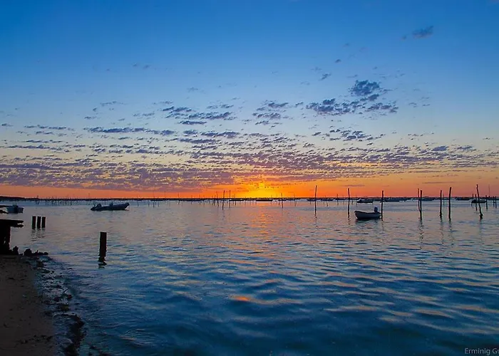 Duplex Le Colibri Esprit *